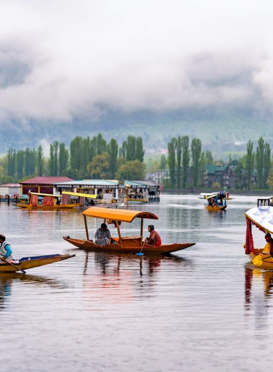 Kashmir Paradise